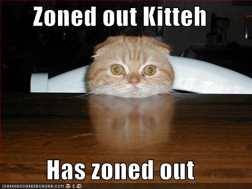 zoned-out-kitty