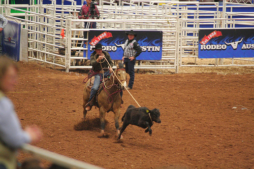 Rodeo Austin Calf Roping