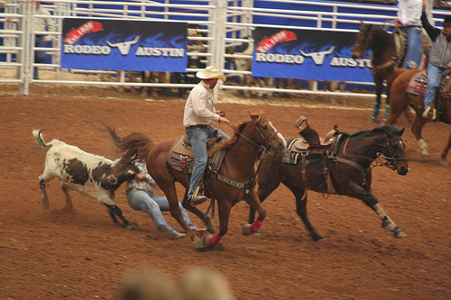 Rodeo Austin Steer Wrestling Rodeo Austin Steer Wrestling