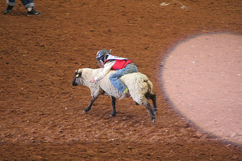 Rodeo Austin Mutton Busting