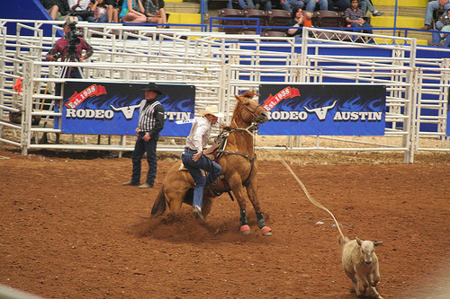 Rodeo Austin Calf Roping Rodeo Austin Calf Roping