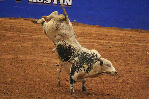 Rodeo Austin Bull Riding