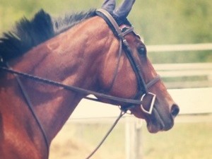 20130609-203615.jpg
