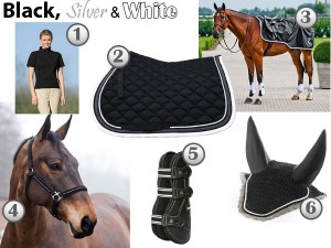 black-silver-barn-colors