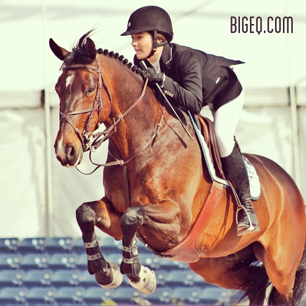 Big Eq - From bigeq.com.  Not a frequent poster, but good eye candy for AA show photos.