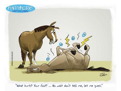 1292529826cartoon
