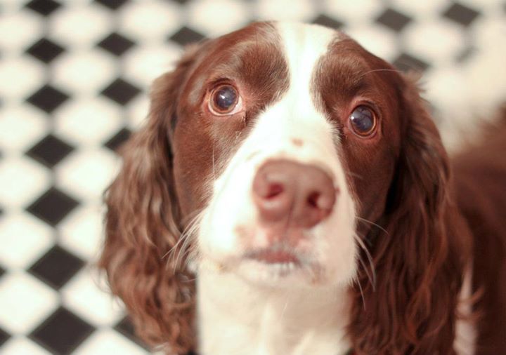 f1.8 - Notice only his eyes are in focus