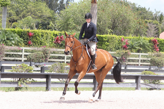 Good timing for the uphill canter shot.