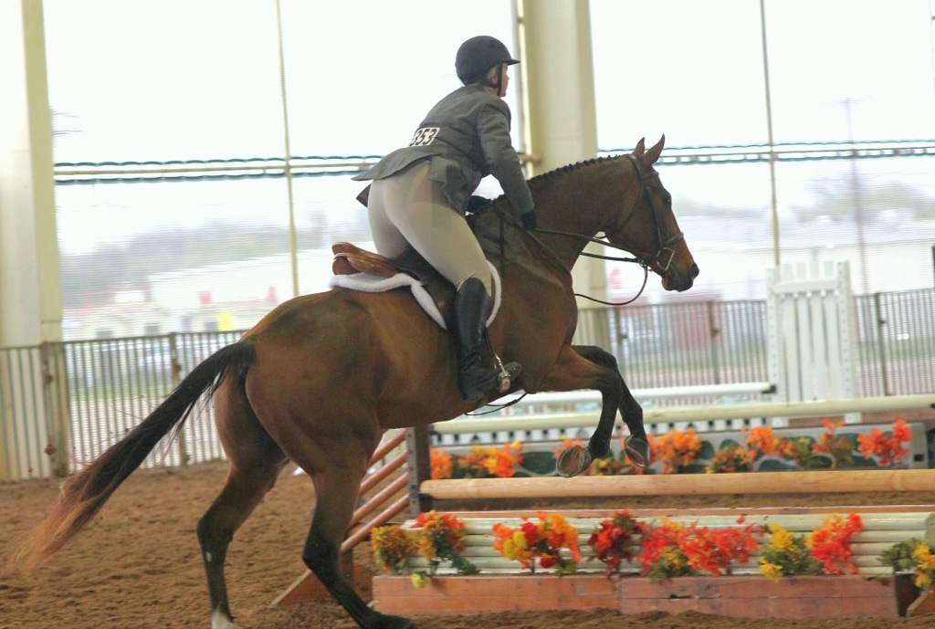 20131124-225001.jpg
