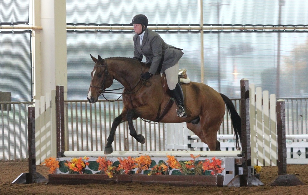 20131124-225236.jpg