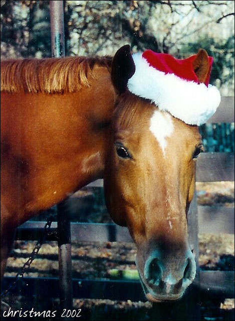 2002
