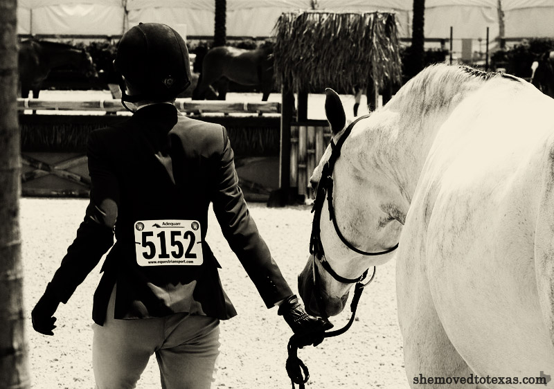 hunter-jumper11