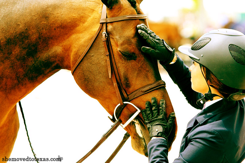 hunter-jumper7
