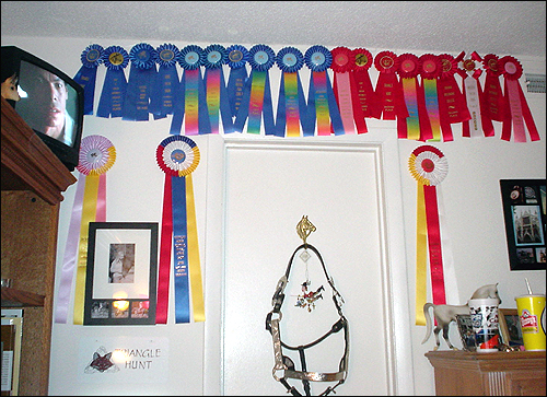 ribbonwall