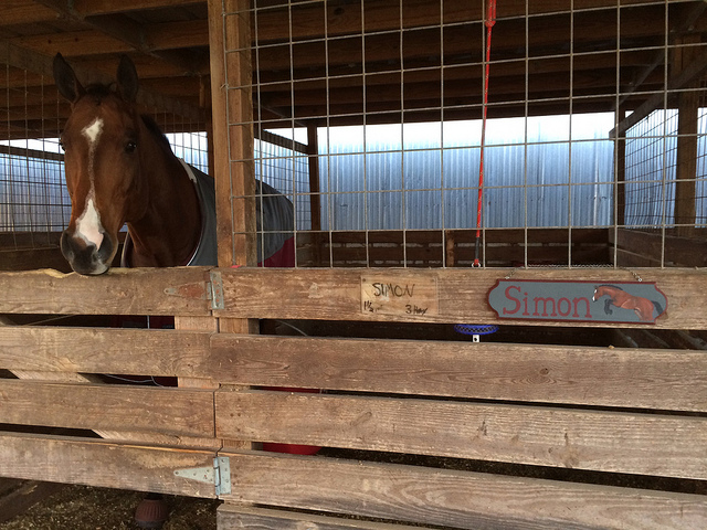 11284144993_b4bf6aa90f_z