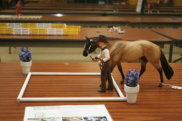 An "Other" Class, In-Hand Trail