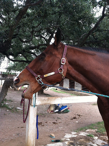 8284798563_02e70ac74c