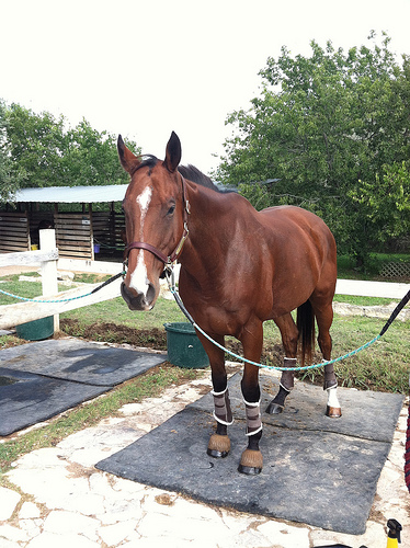 8284801609_839e5c4661