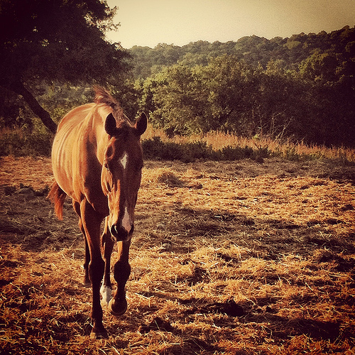 8285865112_01b93536e6