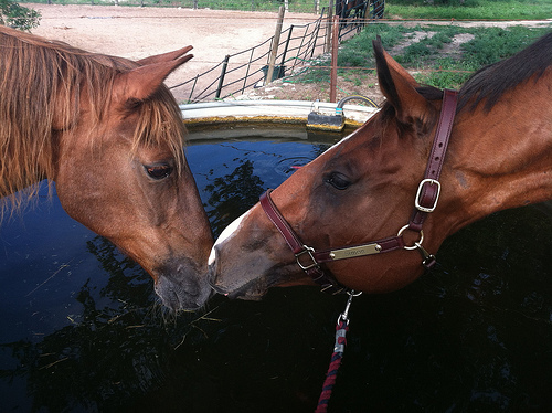 8690824999_760115e60b