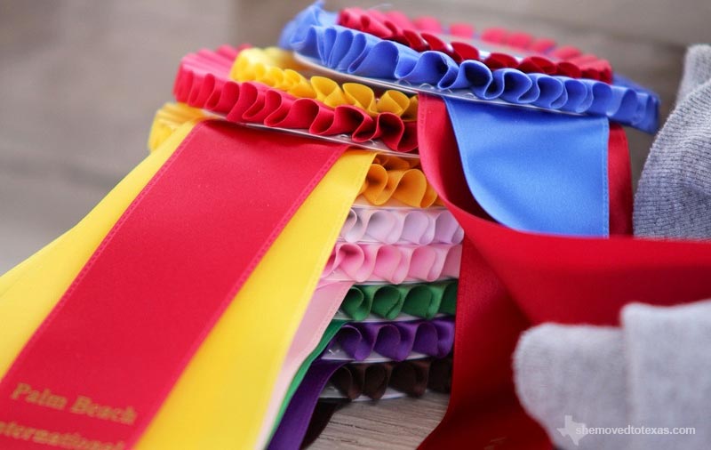 horse-show-ribbons3