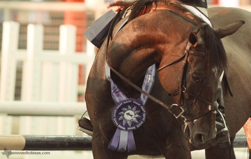 hunter-jumper15