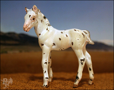 leopappcolt
