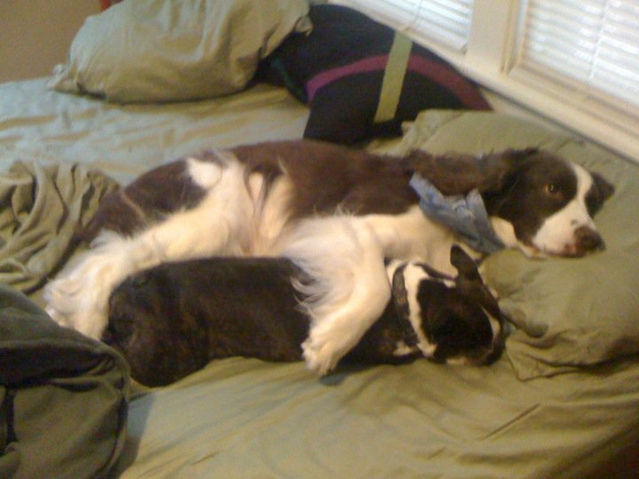 With BT, his best buddy