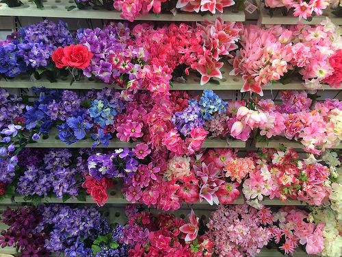 All the flowers!