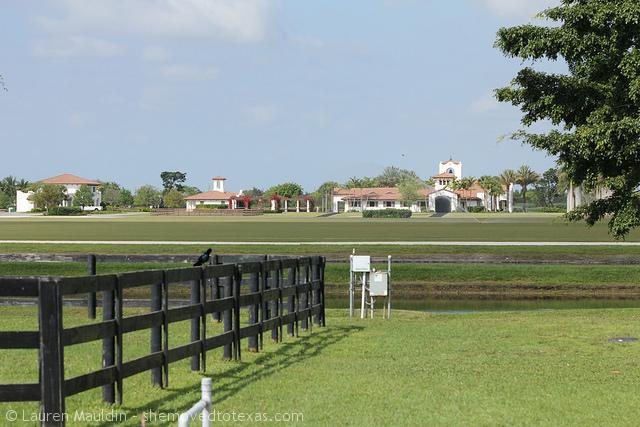 wellington-farm5