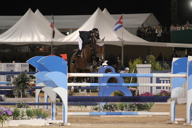 horseware-grand-prix6