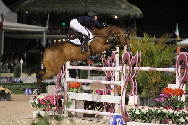 horseware-grand-prix2