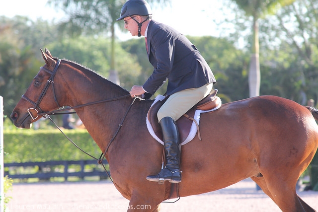 wef-adult-hunter