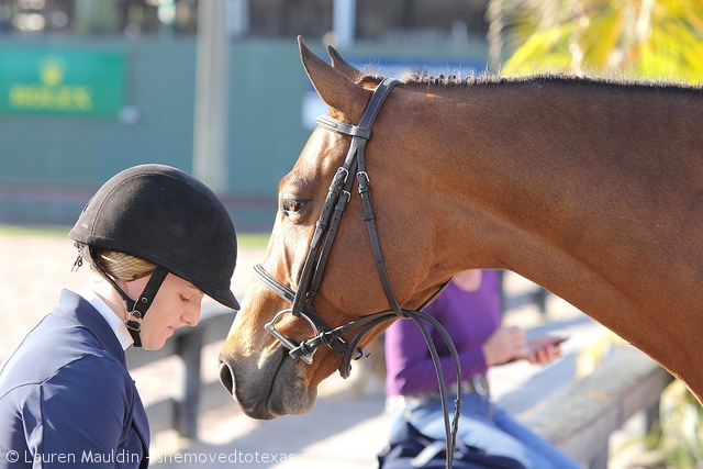 wef-ringside