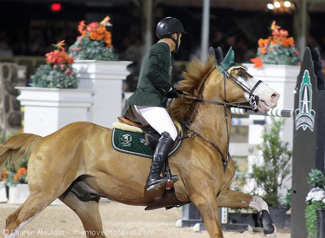 grand-prix-jumper
