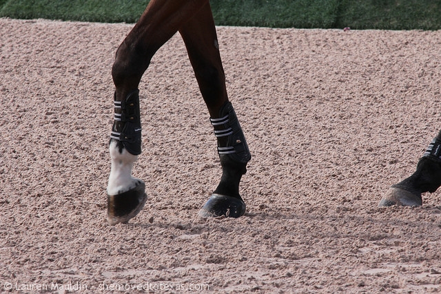 horse-hooves2