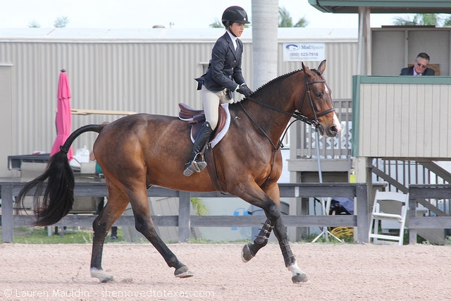 big-eq-canter