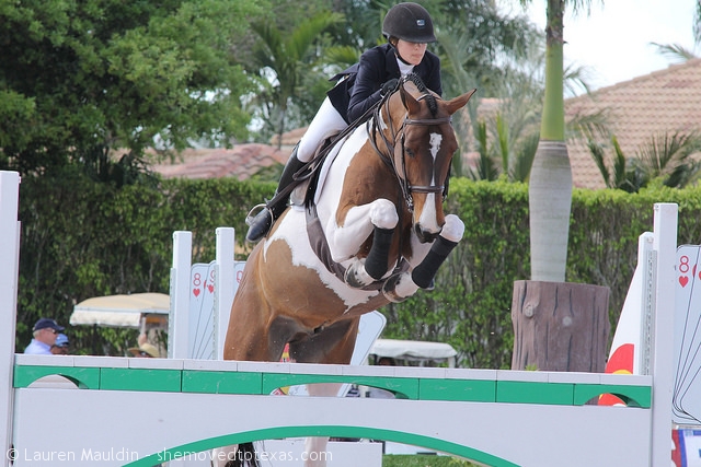 pinto-horse-jump