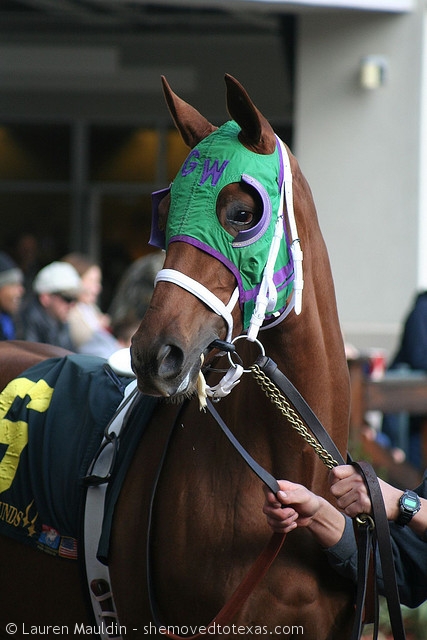 fairgrounds-race-course4