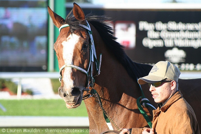 fairgrounds-race-course2