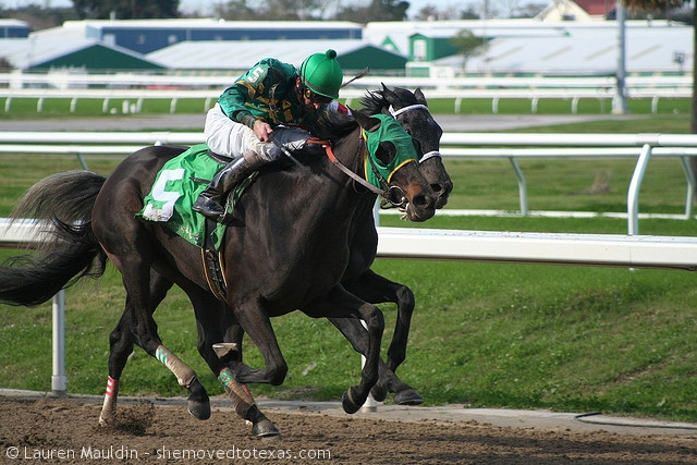 fairgrounds-race-course5