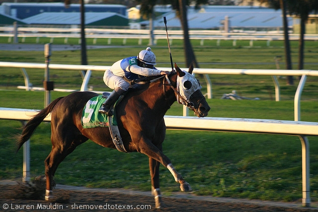 fairgrounds-race-course1