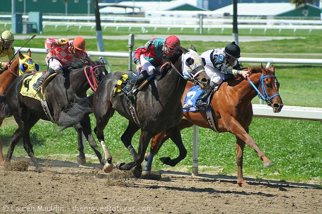 fairgrounds-race-course8