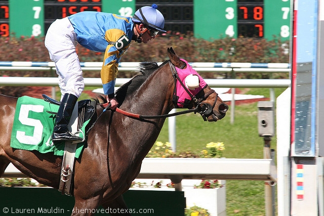 fairgrounds-race-course5