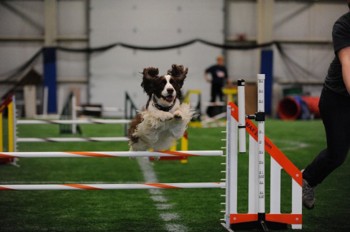 I'M COMING DAD!