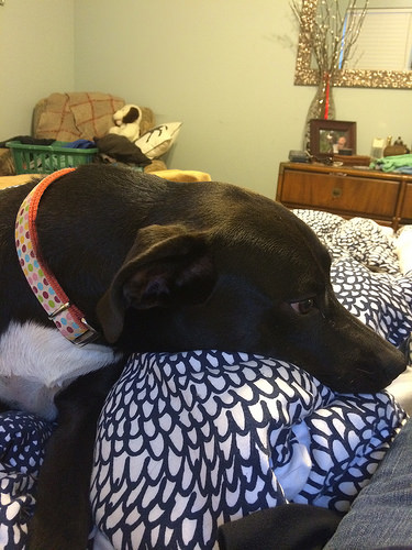 Pascale is already worn out by this drama