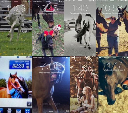 mobile-ponies7