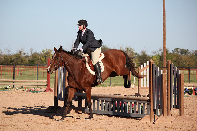 My very out of style old breeches that I adored