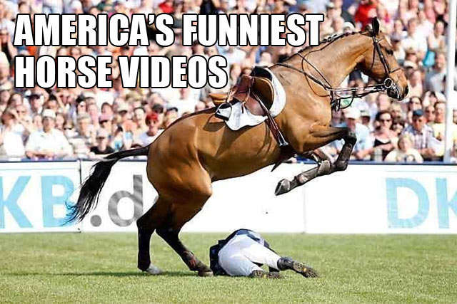 funniest-videos
