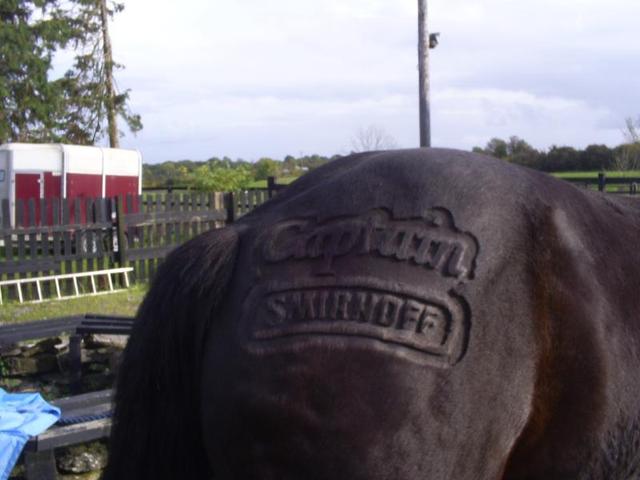 CaptainSmirnoffclipped1